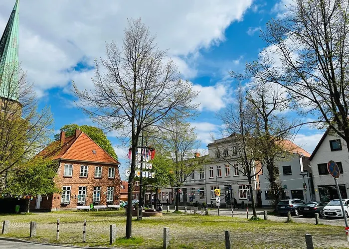 Kleine Fine